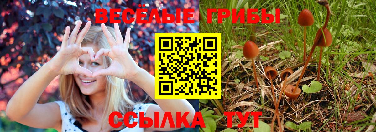 Унеча  Галлюциногенные грибы мухоморы  Вход с VPN  Галлюциногенные грибы мицелий 