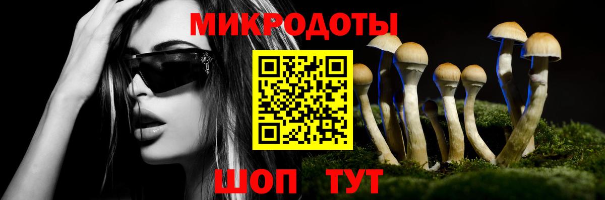 Галлюциногенные грибы MAGIC MUSHROOMS Унеча